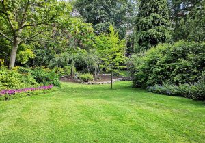 Optimiser l'expérience du jardin à Mont-Saint-Sulpice